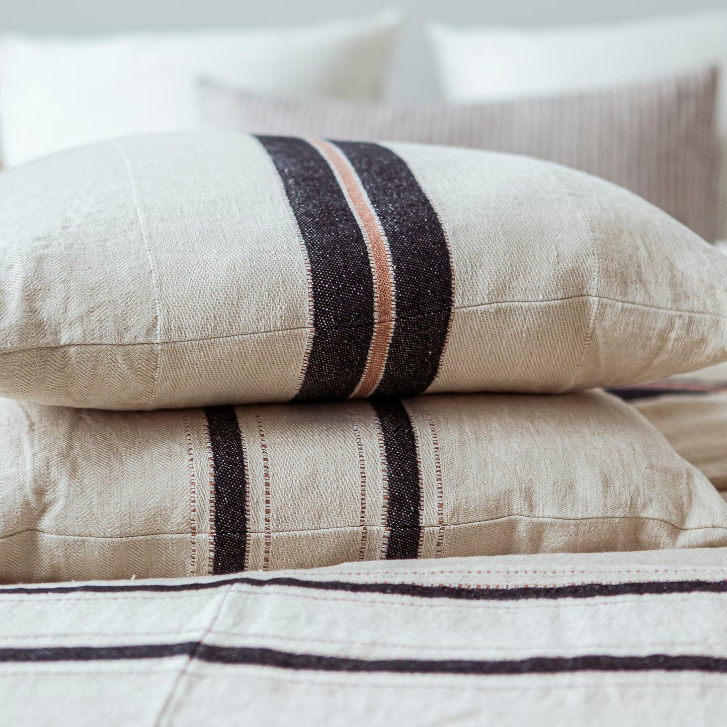 Patagonian Stripe Cushion Cover